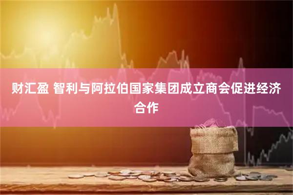 财汇盈 智利与阿拉伯国家集团成立商会促进经济合作