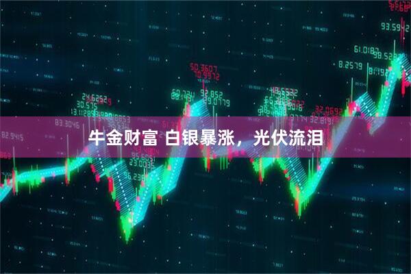 牛金财富 白银暴涨，光伏流泪