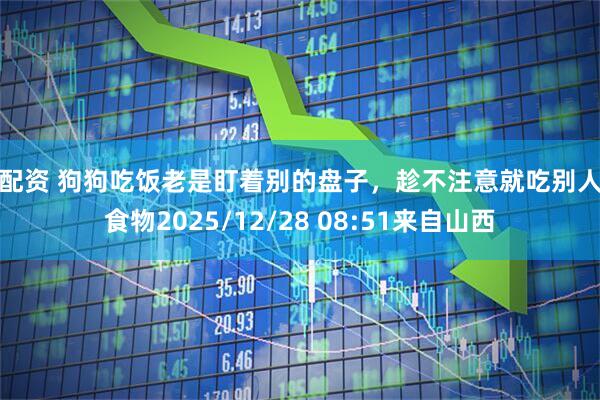 乐配资 狗狗吃饭老是盯着别的盘子，趁不注意就吃别人的食物2025/12/28 08:51来自山西